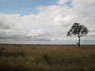 africa2